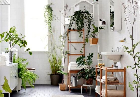 Salle de bains : comment lui donner un look végétal ?
